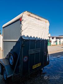 trailer trasporto  2 cavalli