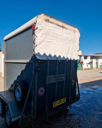 trailer trasporto  2 cavalli