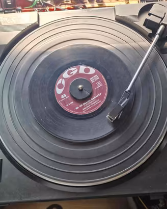 Sony Giradischi Stereo mod. PS-LX250H