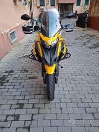 benelli trk 502 x 