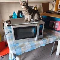 forno microonde Whirpool 