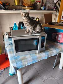 forno microonde Whirpool 