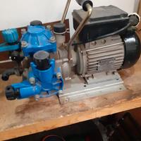 Pompa elettrica per trattamenti piante