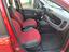 Immagine 7