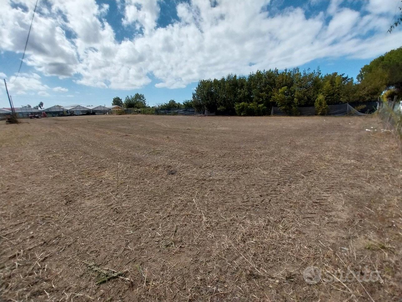 Terreno agricolo - Vista 2