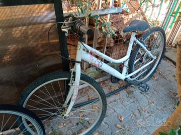 bicicletta Donna