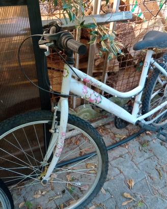 bicicletta Donna