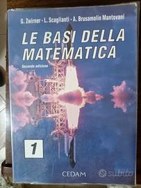 Le basi Della Matematica 1 e 2