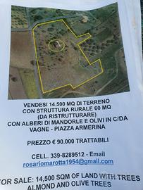 Terreno con mandorli ulivi