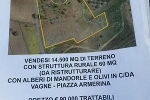 Terreno con mandorli ulivi