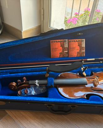 violino