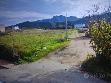 Terreno viale Buoncammino Cardedu