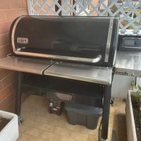 WEBER SMOKEFIRE EX6