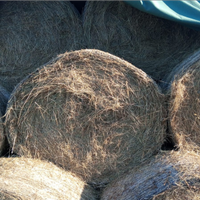 Balle di fieno bio certificato