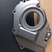 HONDA CB600F HORNET COPERCHIO MOTORE