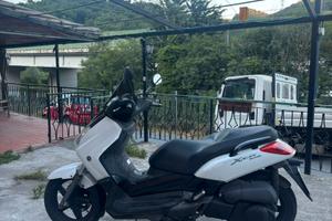 Xmax 250cc