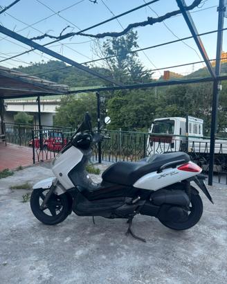 Xmax 250cc