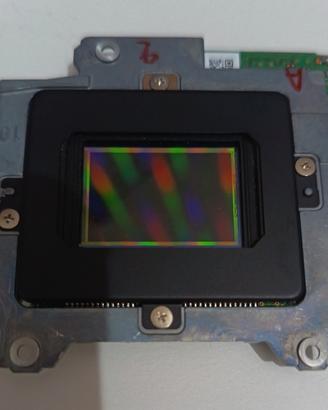 Ricambi Nikon Sensore 