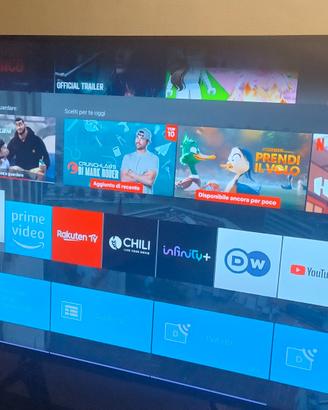 smart TV Sony 55" + soundstage Philips Fidelio XS1