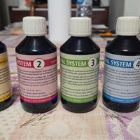 Coral system korallen Zuch