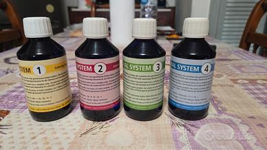 Coral system korallen Zuch