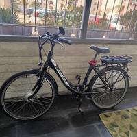 Bici elettrica schiano