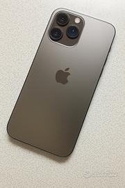 iPhone 13 Pro Max 256 GB Perfetto