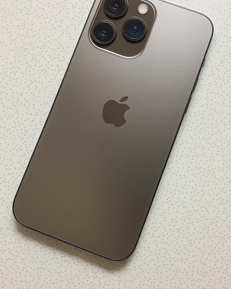 iPhone 13 Pro Max 256 GB Perfetto