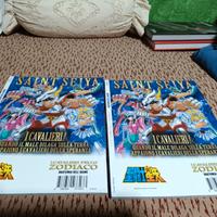 I Cavalieri dello Zodiaco. Anatomia dell'anime
