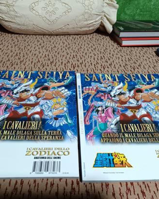 I Cavalieri dello Zodiaco. Anatomia dell'anime