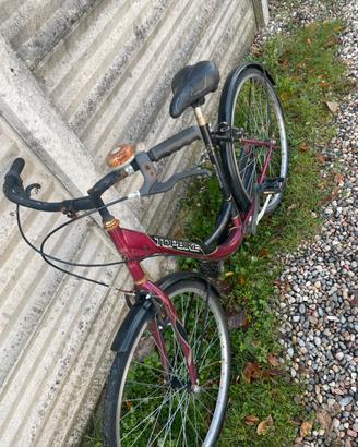 Bicicletta