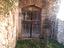 Immagine 10