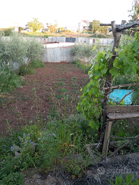 Terreno edificabile a Vibo Valentia