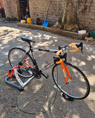 Bici da corsa da strada + Rullo per indoor