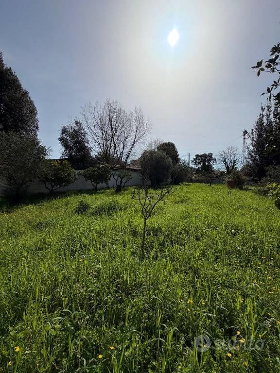 Terreno di 1000 m² a Sabaudia - Vista 3