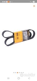 cinghia servizi 6PK1205 Continental CONTITECH