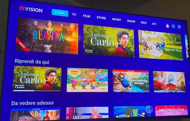 Televisore Smart tv 55 pollici +stereo auto