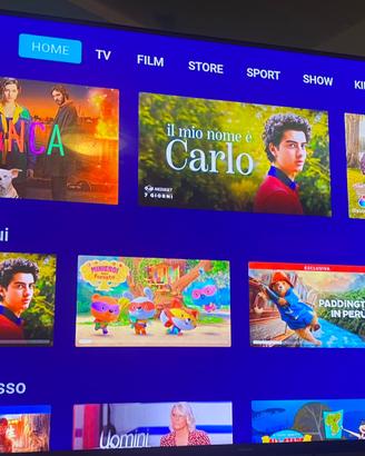 Televisore Smart tv 55 pollici +stereo auto