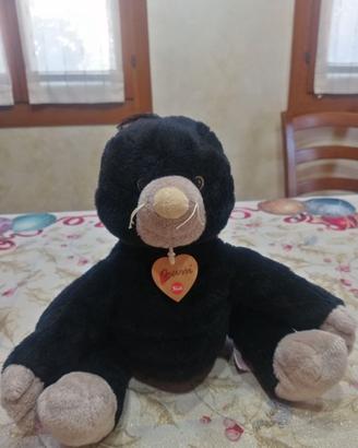 Talpa trudy
