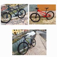 Varie biciclette MTB/cicloturismo/