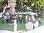 Immagine 26