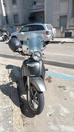 scoter