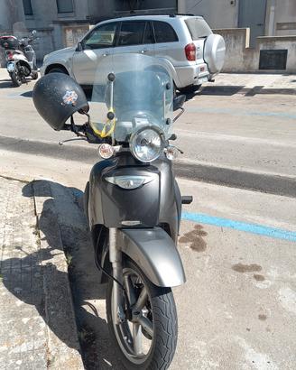 scoter
