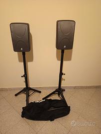 Casse attive DB K300