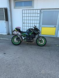 Kawasaki Z900 2023