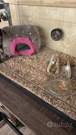 Teca per animali esotici