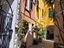 Immagine 11