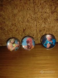 Hulk hogan wrestling 