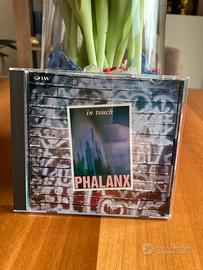 Cd musicale Japan Phalanx - In touch