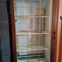 frigorifero espositore  vini 